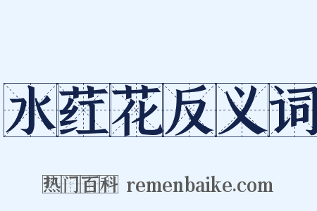水荭花反义词是什么意思的图片